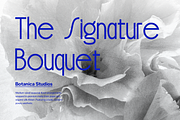 Bielchon | Modern Sans Serif, a Handwritten Font by gracetype_studio (Thumbnail 2 of 11)
