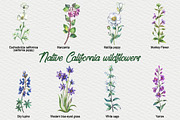 Native California wildflowers, an Illustration by FITALARTSNEDIGI (Thumbnail 3 of 8)