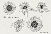 Sunflower line art collection, a Decorative Illustration by DamriNa art (Thumbnail 2 of 8)
