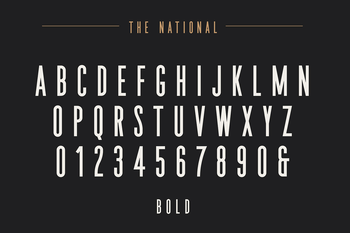 The National | Condensed Type Family, a Sans Serif Font by Hustle Supply Co. (Photo 10 of 15)