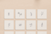 Botanical Line Drawings, a Decorative Illustration by Delightful Design (Thumbnail 7 of 7)