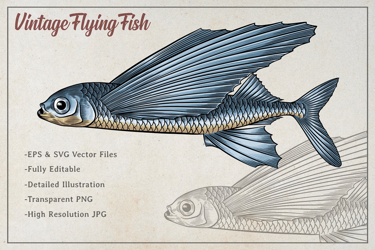Flying Fish Vector Illustration, an Animal Illustration by Kusumaillustration (Photo 2 of 6)