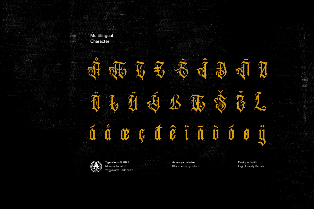 Acinonyx Jubatus, a Blackletter Font by ilhamtaro (Photo 10 of 10)