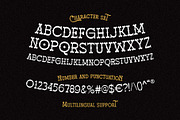Blank Gunshot - Western Slab Serif, a Slab Serif Font by Novitype (Thumbnail 12 of 13)