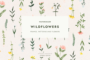 Watercolor Wildflower Bundle