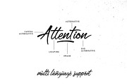 San Joaquin font, a Script Font by Emyself Design (Thumbnail 5 of 11)