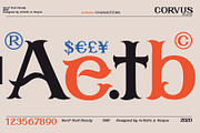 CORVUS Serif font, a Serif Font by Artistic & Unique (Thumbnail 2 of 15)