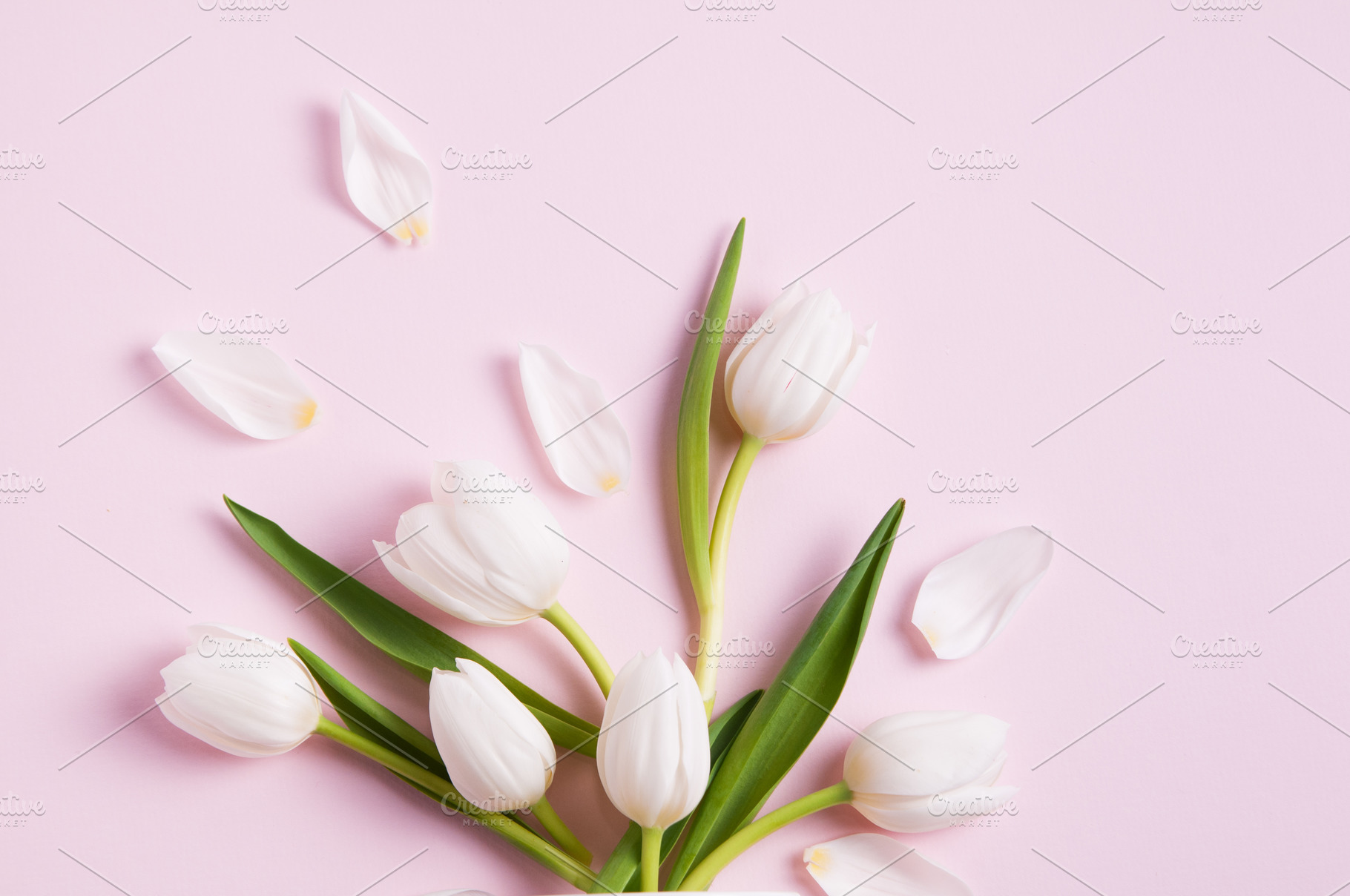 Tulip Design, a Background Photo by Siân C Photography