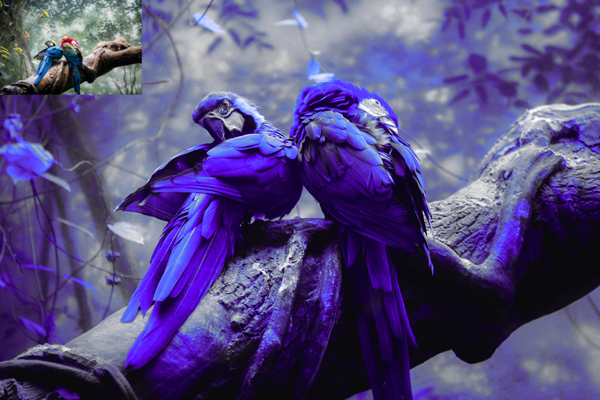 Dark Color Effect Action preview 3