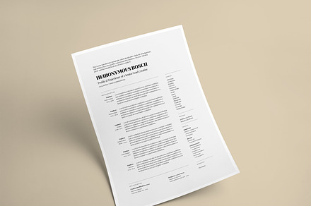 Simple, one-page CV/Resume