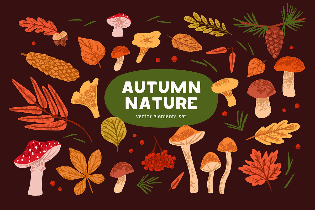 Autumn forest nature, dry leaves set, a Seasonal Illustration by PaperTrident (Photo 1 of 6)