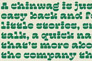 HobSnob Reverse Contrast Slab Serif, a Slab Serif Font by Colt Type Co (Thumbnail 2 of 5)