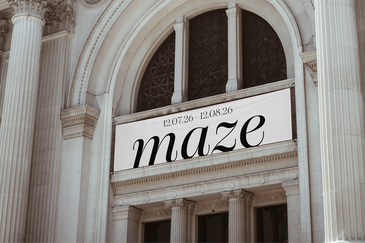 Dupioni - 6 font family, a Serif Font by Silktype (Photo 4 of 21)
