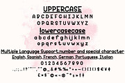 December Pastel - Script Handwritten, a Handwritten Font by Charmingbear59.design (Thumbnail 5 of 5)