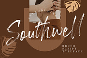 Southwell Brush Script, a Script Font by Creatype Studio (Thumbnail 1 of 9)
