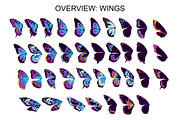 Wings & Butterfly(SVG, PNG Brushes), a Brush Add-On by xresch (Thumbnail 18 of 22)