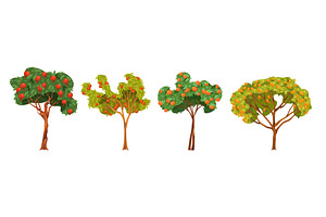 Vector fruit tree set. Garden nature, an Object Illustration by Elegant Solution