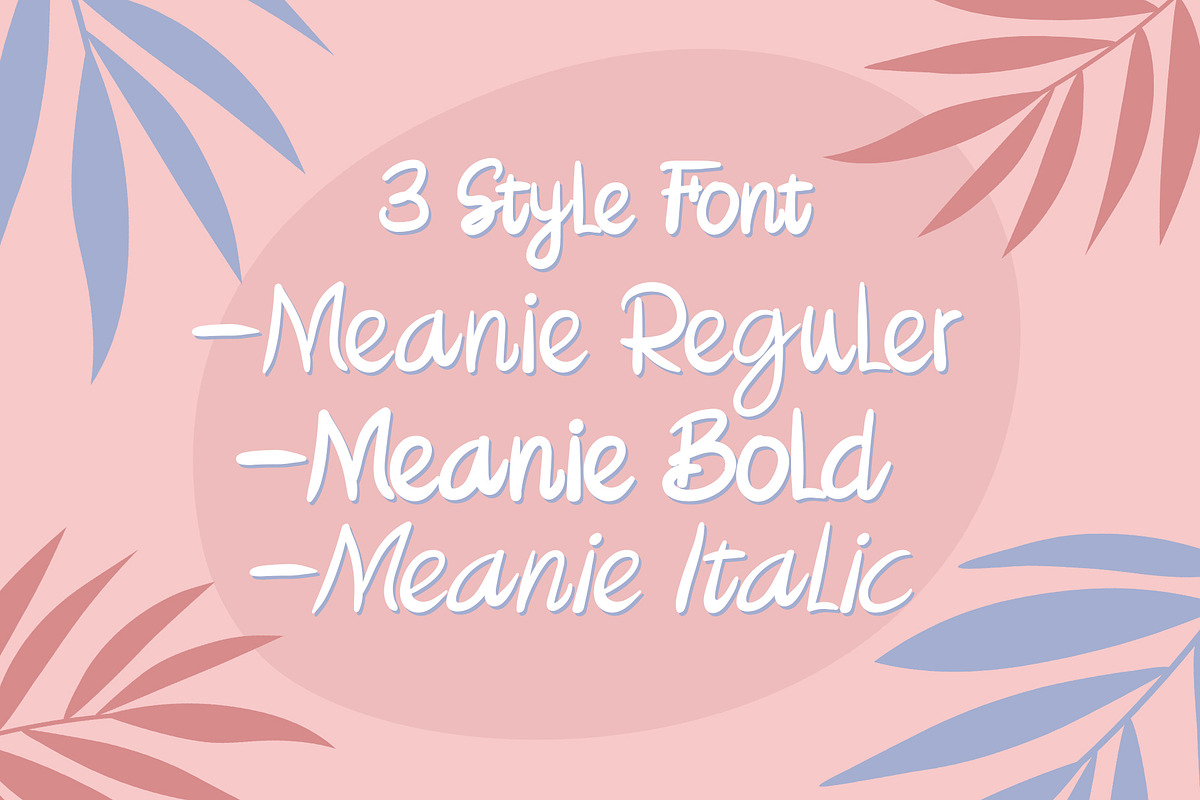 Meanie a Fun Hand Written Font, a Script Font by Dawnside Graphic (Photo 3 of 11)
