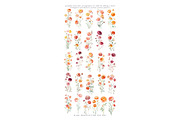 Watercolor Ranunculus Clipart Set, a Decorative Illustration by Patishop Art (Thumbnail 7 of 10)