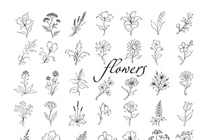 Set of elegant single-line flowers, an Object Illustration by Nenahliadava Design