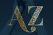 Waymar Ornate, a Serif Font by NREY (Thumbnail 2 of 8)