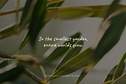 Botanicale | Handwritten Font, a Handwritten Font by type peace (Thumbnail 8 of 18)