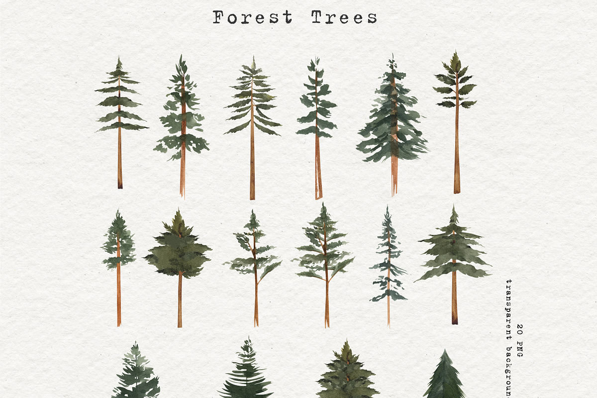 Watercolor Forest Trees Clipart, an Education Illustration by Ooh Lily (Photo 2 of 6)