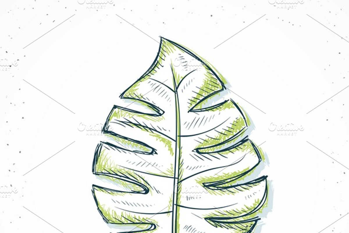 Isolated sketch palm leaf handmade, an Object Graphic by Vectorist