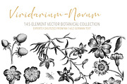 Vintage Engraved Botanical Elements, an Illustration by Jennadesigns (Thumbnail 9 of 12)