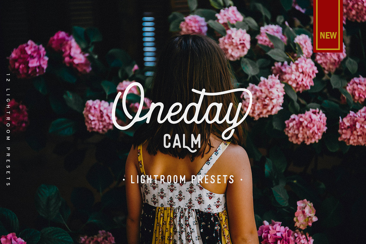 Oneday : Calm Lightroom presets, an Action Add-On by Emyself Design (Photo 1 of 7)