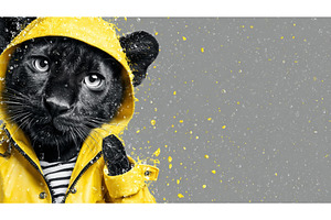 A panther dressed in the latest, an Arts & Entertainment Photo by ZinetroN