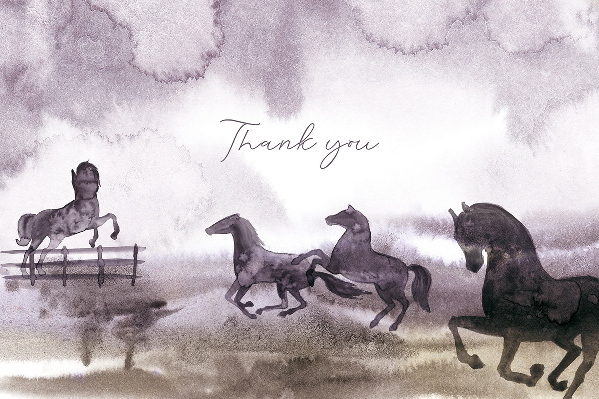 MUSTANG. Nature, herbs and horses., a Decorative Illustration by Elena_Sedova (Photo 13 of 13)
