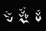 Bats. 40+ Hand-drawn Elements, an Animal Illustration by Vicccky (Thumbnail 3 of 5)