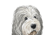 Poodle Cross Breeds 27 Dogs/Puppies, an Animal Illustration by Dneprstock (Thumbnail 26 of 27)