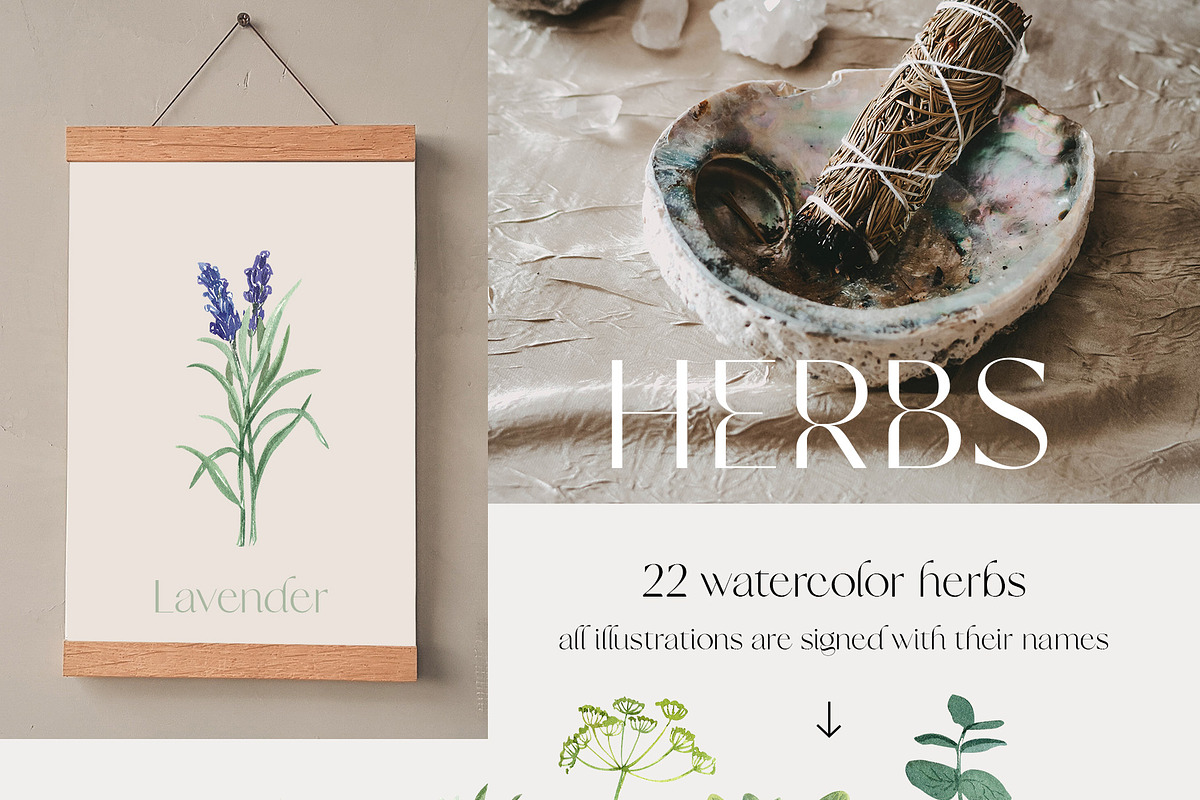 Modern Magic Herbs & Crystals, a Healthcare Illustration by Catch the Dream Art (Photo 2 of 8)