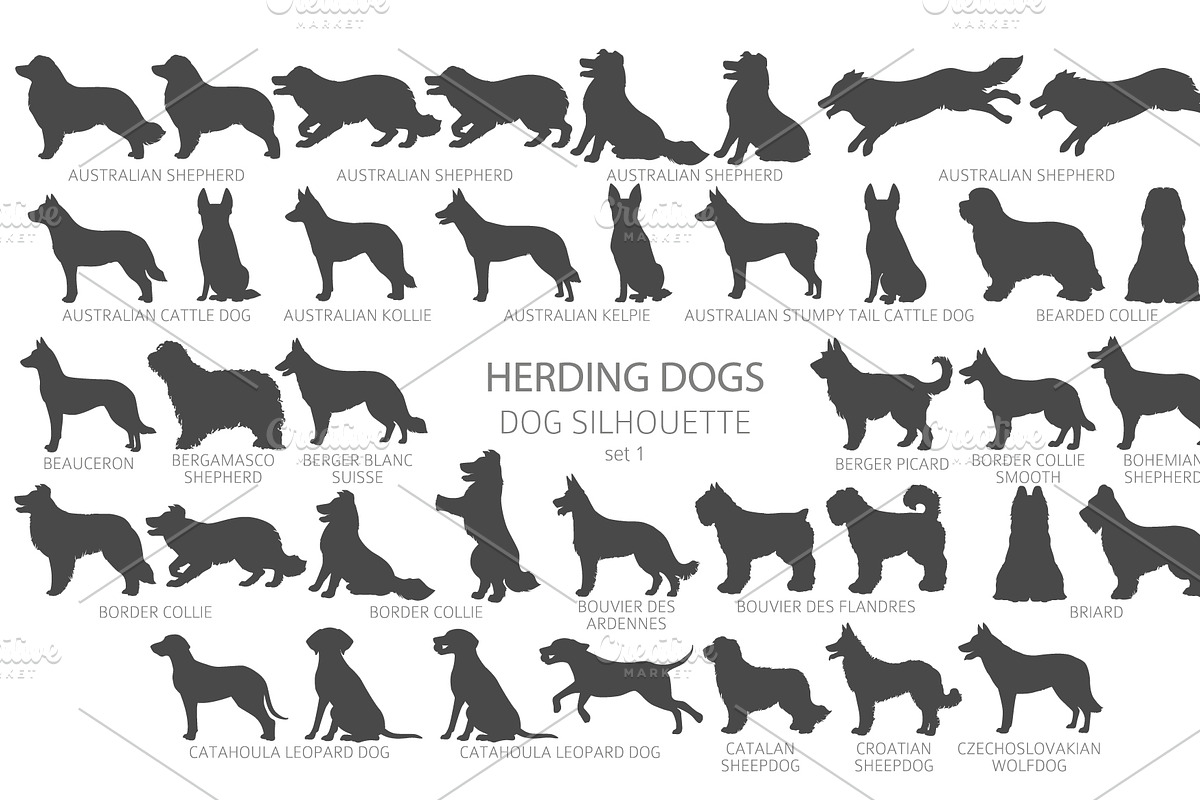Herding dogs, Sheepdogs Silhouettes, an Animal Illustration by pet design shop (Photo 7 of 13)