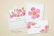 Wild Rose collection, an Illustration by oKOLOstyle (Thumbnail 4 of 8)