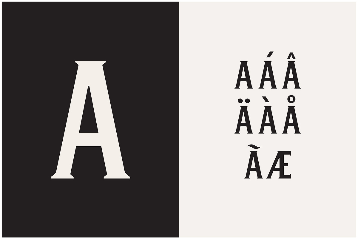 Winston Typeface, a Serif Font by Bebop Font Foundry (Photo 5 of 5)