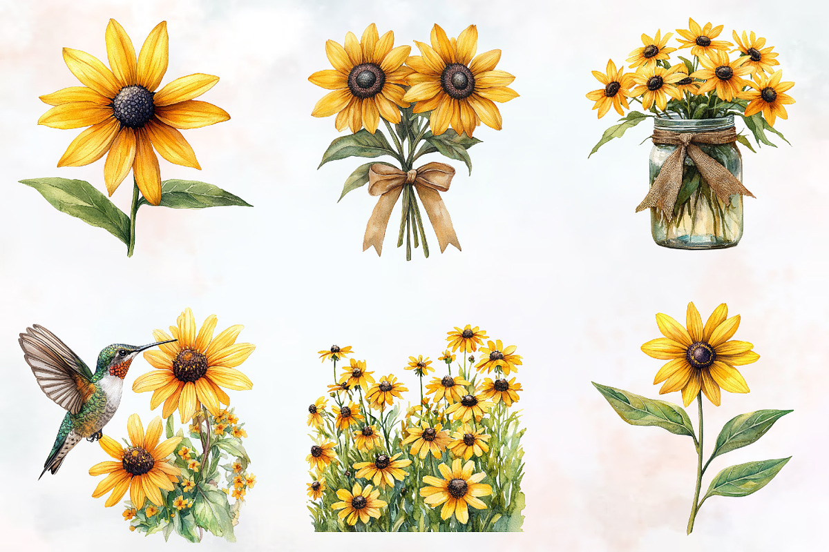 Black Eyed Susan Watercolor Cliparts, an Illustration by RobertsArt (Photo 2 of 7)