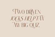 Classy Brune Sans Serif  Typeface, a Sans Serif Font by Typetemp Studio (Thumbnail 17 of 21)