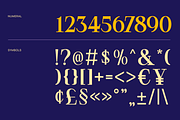 Meglo - Elegant Modern Serif Font, a Serif Font by Pekotype (Thumbnail 4 of 15)