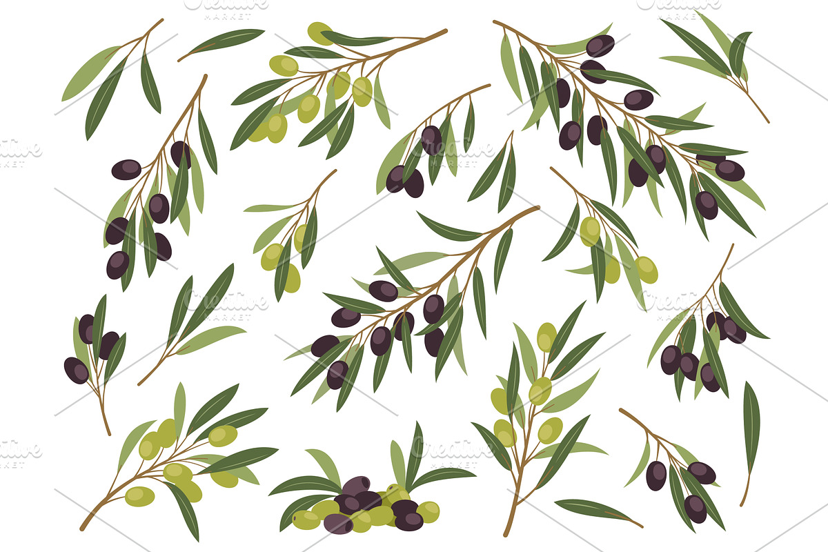Black and green olive twigs. Cartoon, a Food Illustration by YummyBuum