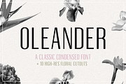 Oleander | Sans-Serif + 10 Cutouts, a Sans Serif Font by Karissa Macapagal (Thumbnail 1 of 10)