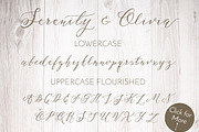 Serenity & Olivia Calligraphy Font, a Script Font by Fine Art Design Studio (Thumbnail 11 of 19)