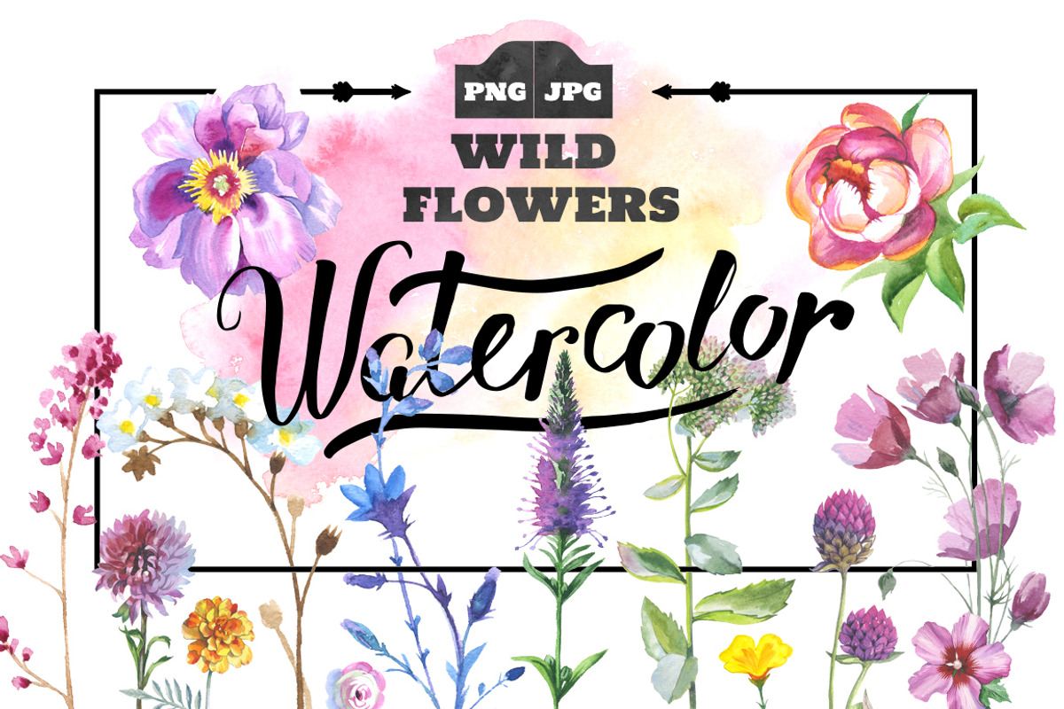Wild Flowers watercolor PNG set, a Decorative Illustration by WatercolorPNG.com (Photo 1 of 13)