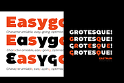 Eastman - 42 fonts, a Sans Serif Font by Zetafonts (Thumbnail 11 of 12)