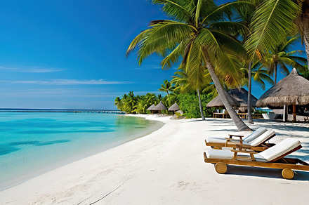 Beach with white sand, palm trees and sunbeds at Maldives. Gener, a Holiday Photo by AS photostudio