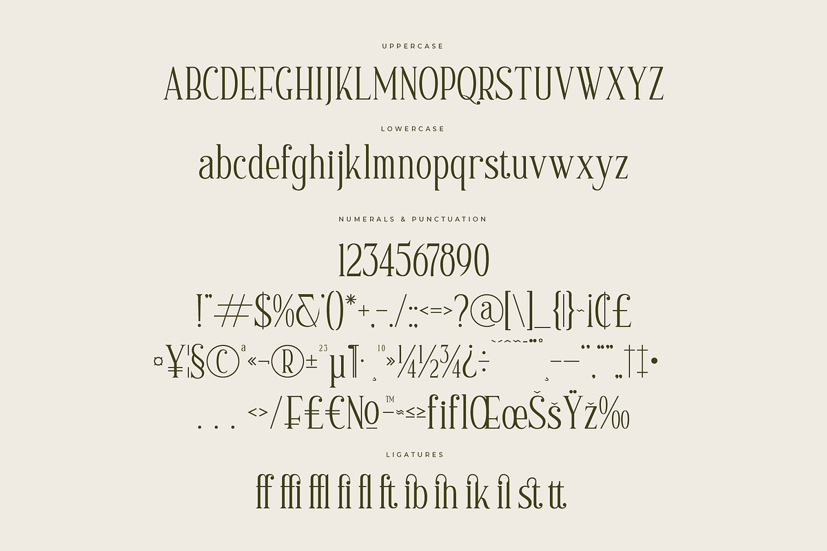 Scarlett Quistan Modern Serif Font, a Serif Font by Letterena Studios (Photo 13 of 15)