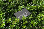 Green Leaf Business Card Mockup, a Mockup by Quirko (Thumbnail 4 of 7)