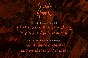 Wild Grook - Brush Script Font